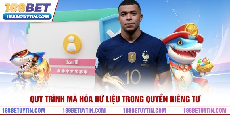 Quy trình mã hóa dữ liệu trong quyền riêng tư